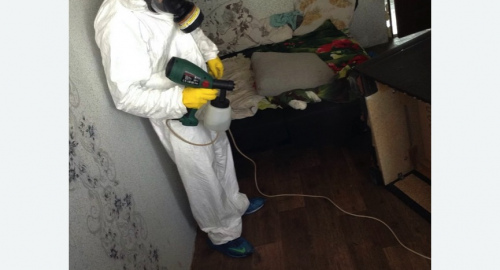 Обработка квартир от насекомых в Дмитровском Погосте