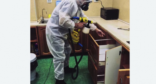Дезинсекция квартиры. Дмитровский Погост