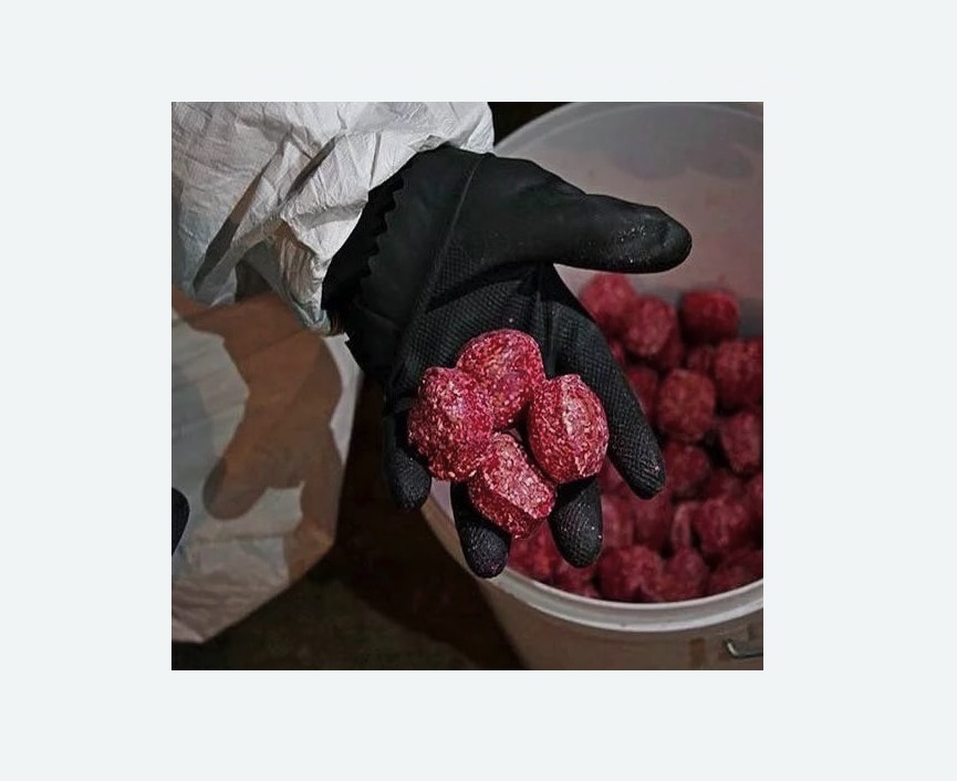 Обработка от крыс в Дмитровском Погосте