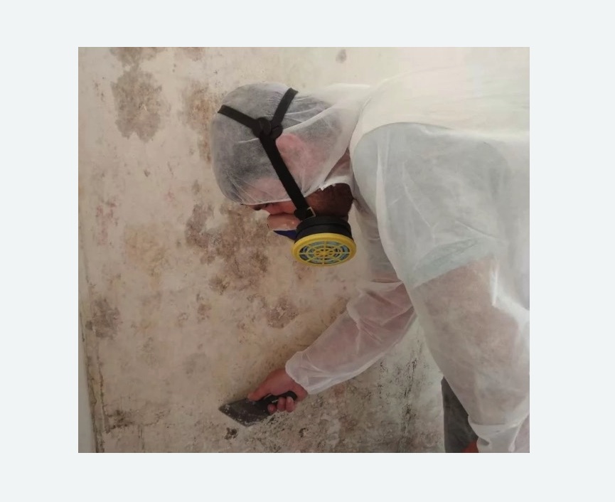 Обработка стен от плесени в Дмитровском Погосте