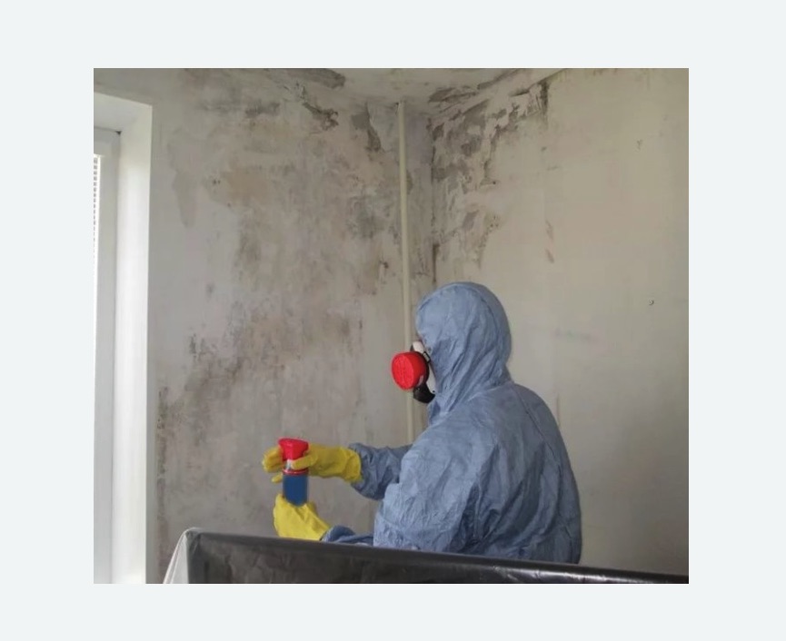 Удаление плесени в квартире в Дмитровском Погосте