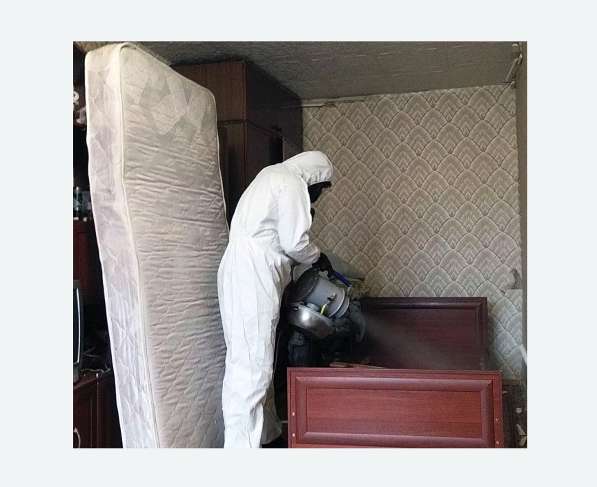 дезинфекция от клопов в Дмитровском Погосте