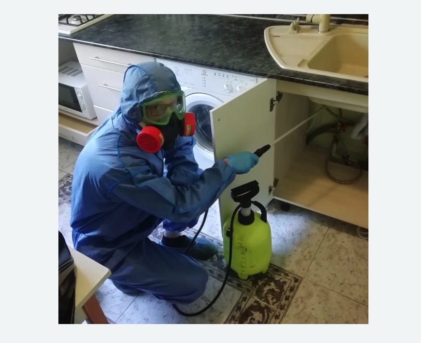 обработка от муравьев в квартире в Дмитровском Погосте