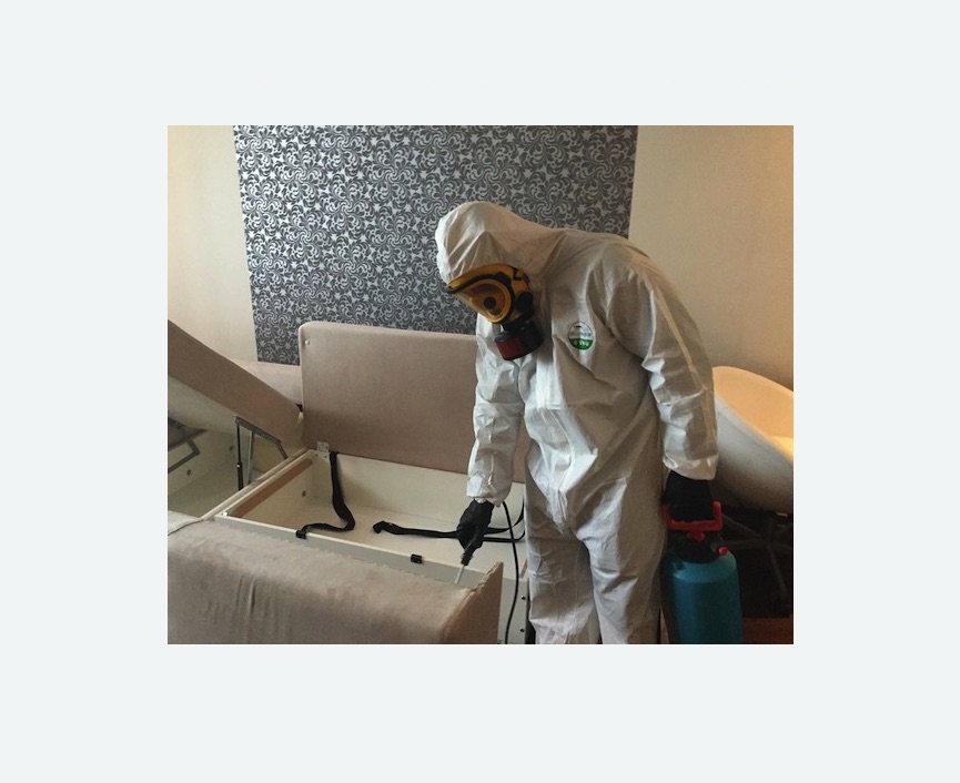 уничтожение клопов в квартире в Дмитровском Погосте