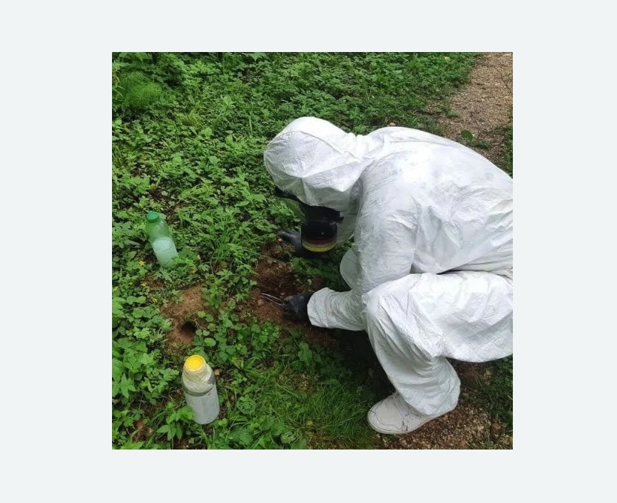 уничтожение кротов на участке в Дмитровском Погосте