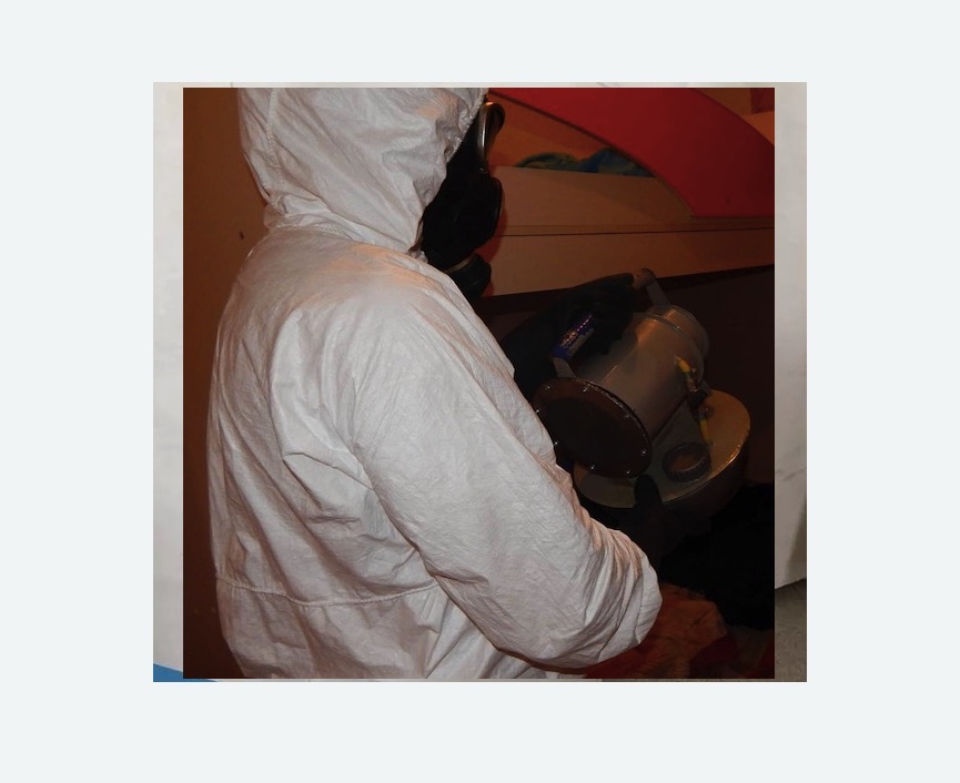 Дезинфекция от муравьев в Дмитровском Погосте